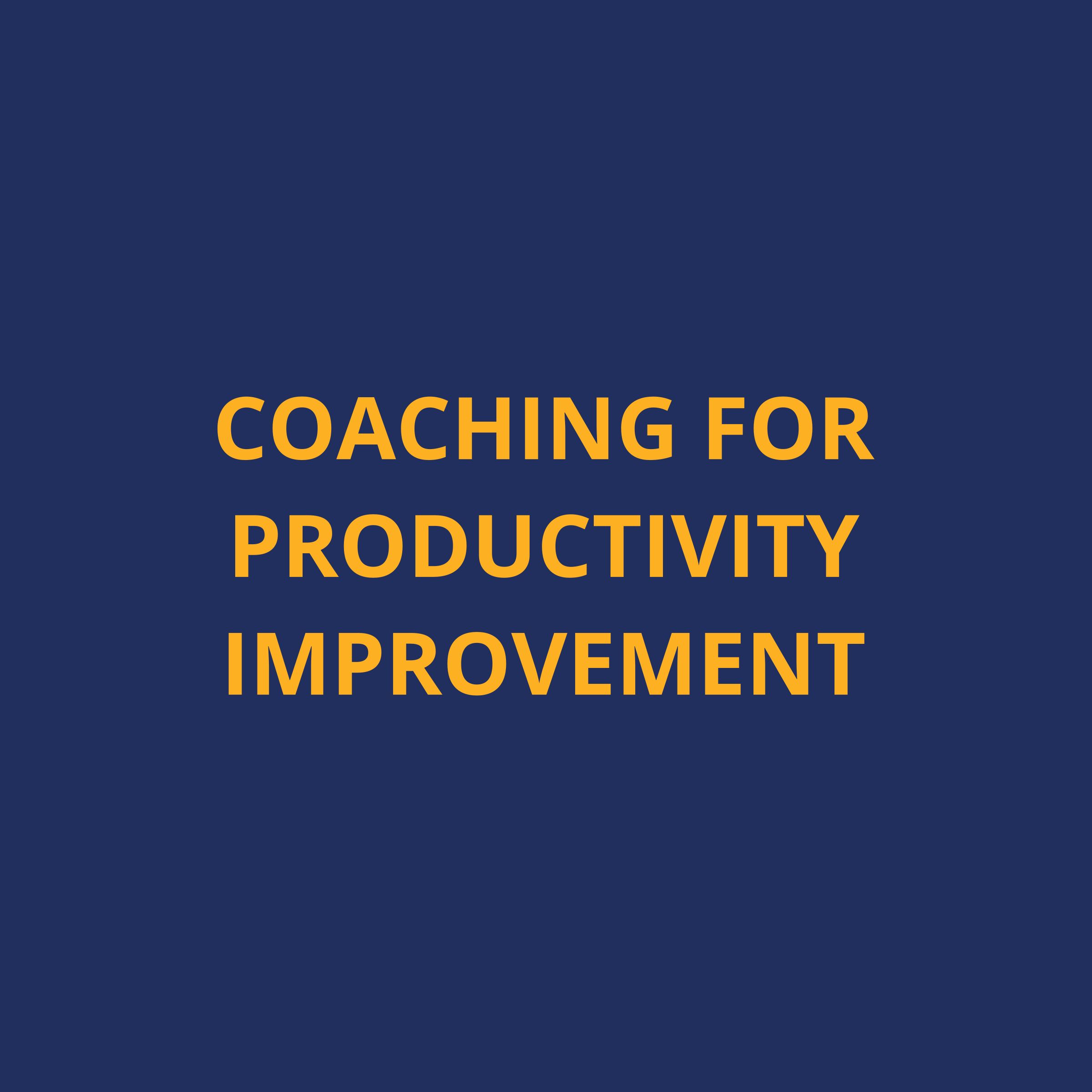 Unlock Your Potential: Coaching for Sustainable Productivity Improvement